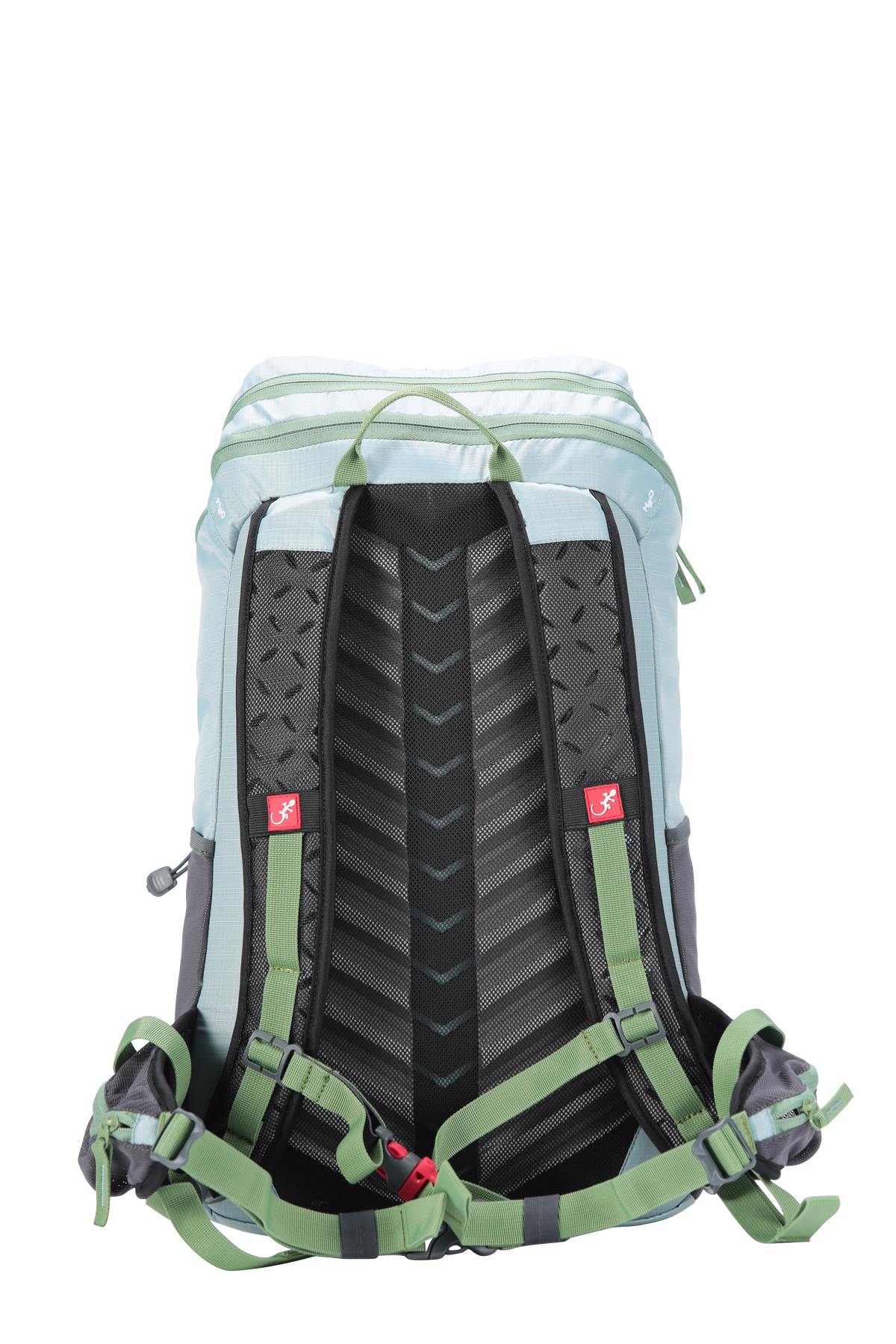 Sac à dos ultra léger Paseo 25 litres - vue de dos - Bleu ciel avec sangles vertes - sangle poitrine avec sifflet d'urgence.