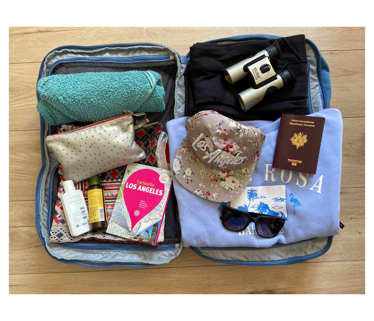 Urban Cabin – Sac de voyage 35L avec compartiment pour ordinateur portable