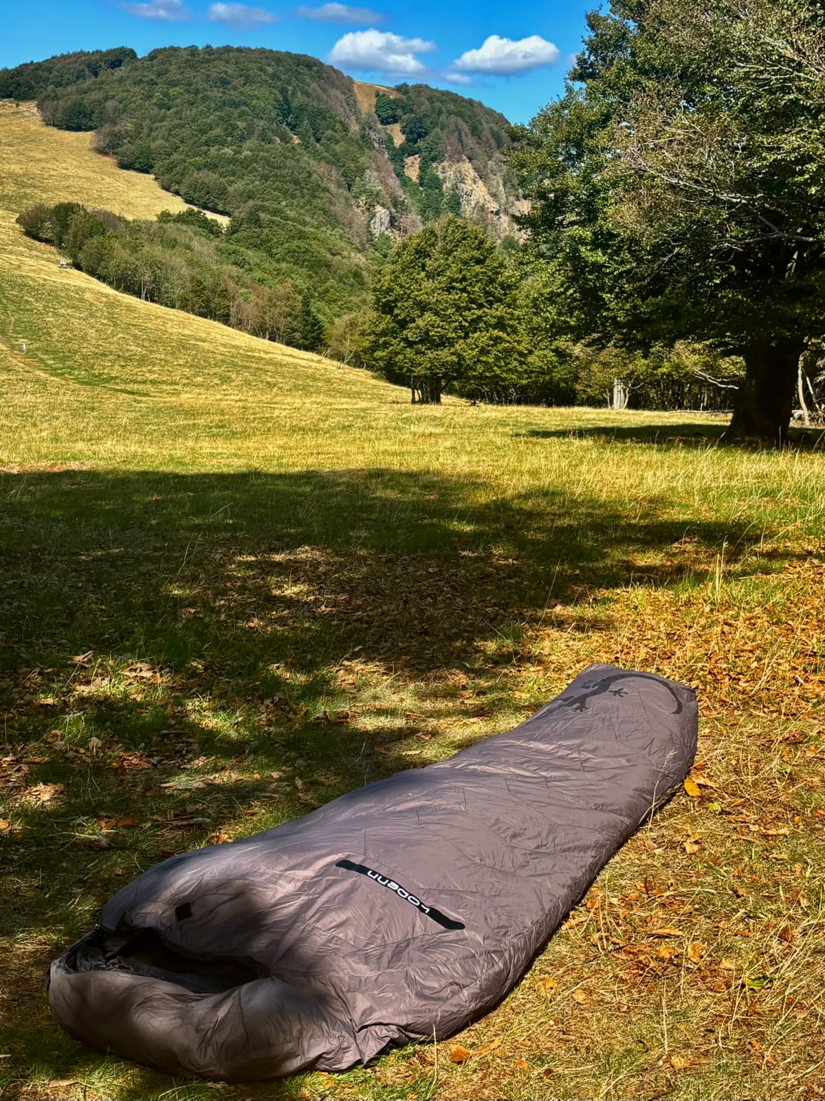 Sac de couchage Lodenn, marque Freetime, duvet température confort -1°C pour moins de 1kg ! vu posé sur l'herbe et les feuilles d'automne dans une clairière